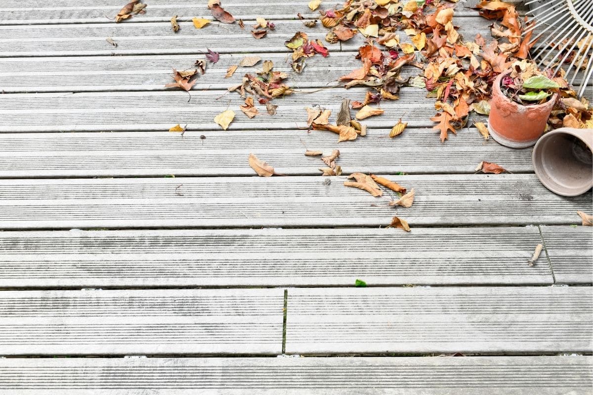 Terrasse en bois : Tout savoir pour bien la nettoyer