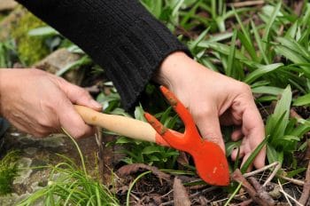 Comment choisir une serfouette de qualité pour son jardin