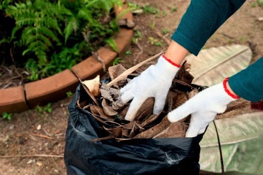 À épingler : Nos astuces pour trouver le sac de jardinage idéal