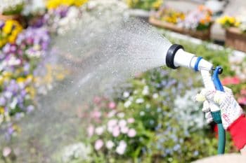 Comment consommer moins d’eau en période de sécheresse ?