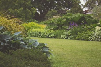 Comment entretenir son espace extérieur en pleine canicule ?