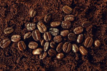 Le marc café, un ingrédient précieux dans le jardinage