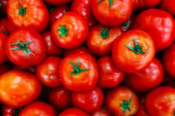 Les 8 choses à avoir absolument en tête pour bien cultiver ses tomates
