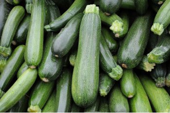 Les 8 erreurs à éviter pour faire pousser correctement ses courgettes