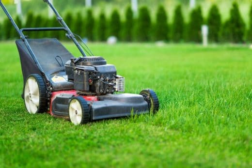 À épingler : Pourquoi est-il important de laisser des zones de pelouse non tondue ?