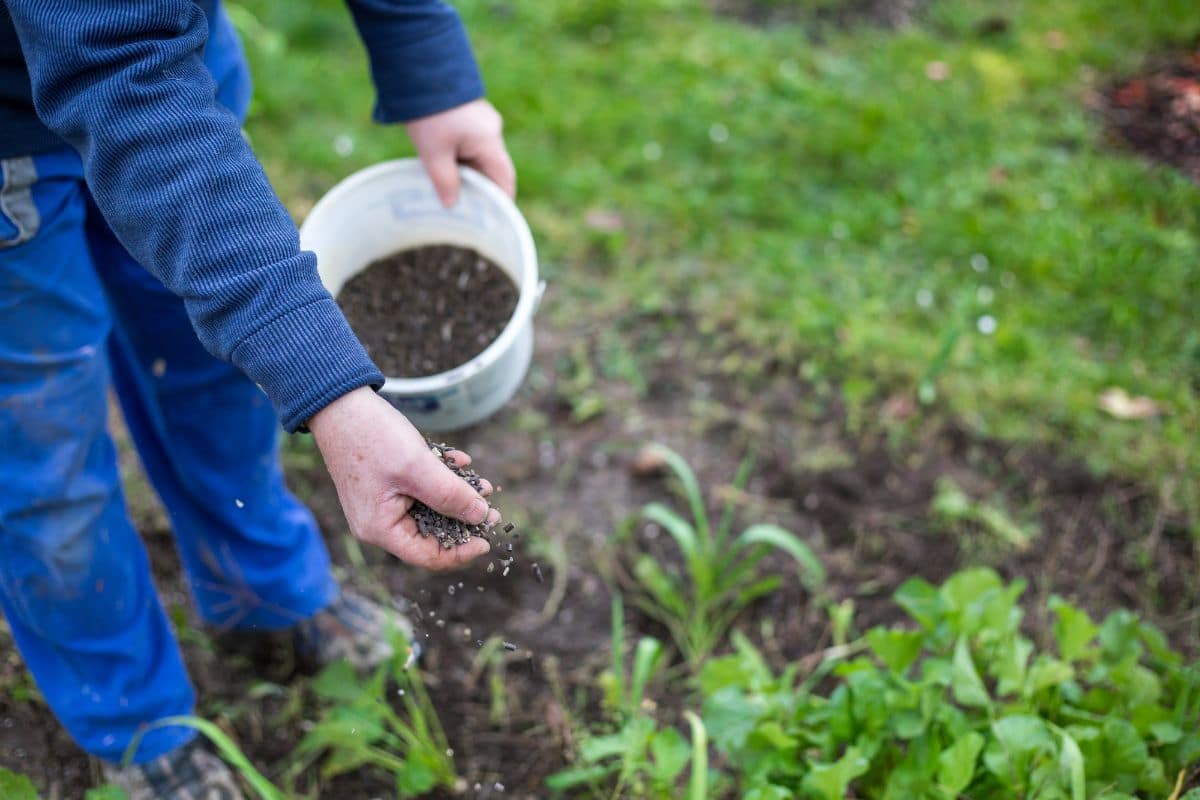 Quel engrais privilégier pour le sol de son jardin ?