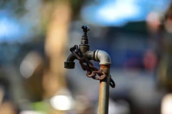Restriction d’eau : Nos 6 conseils pour prendre soin de son jardin