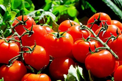 À épingler : Toutes les astuces pour récolter de belles tomates cet été