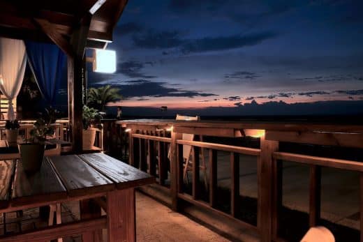 À épingler : Comment se débarrasser des bêtes qui se trouvent sur le balcon ?
