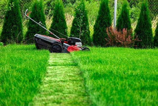 À épingler : Découvrez la tonte différenciée : une nouvelle manière d’entretenir sa pelouse