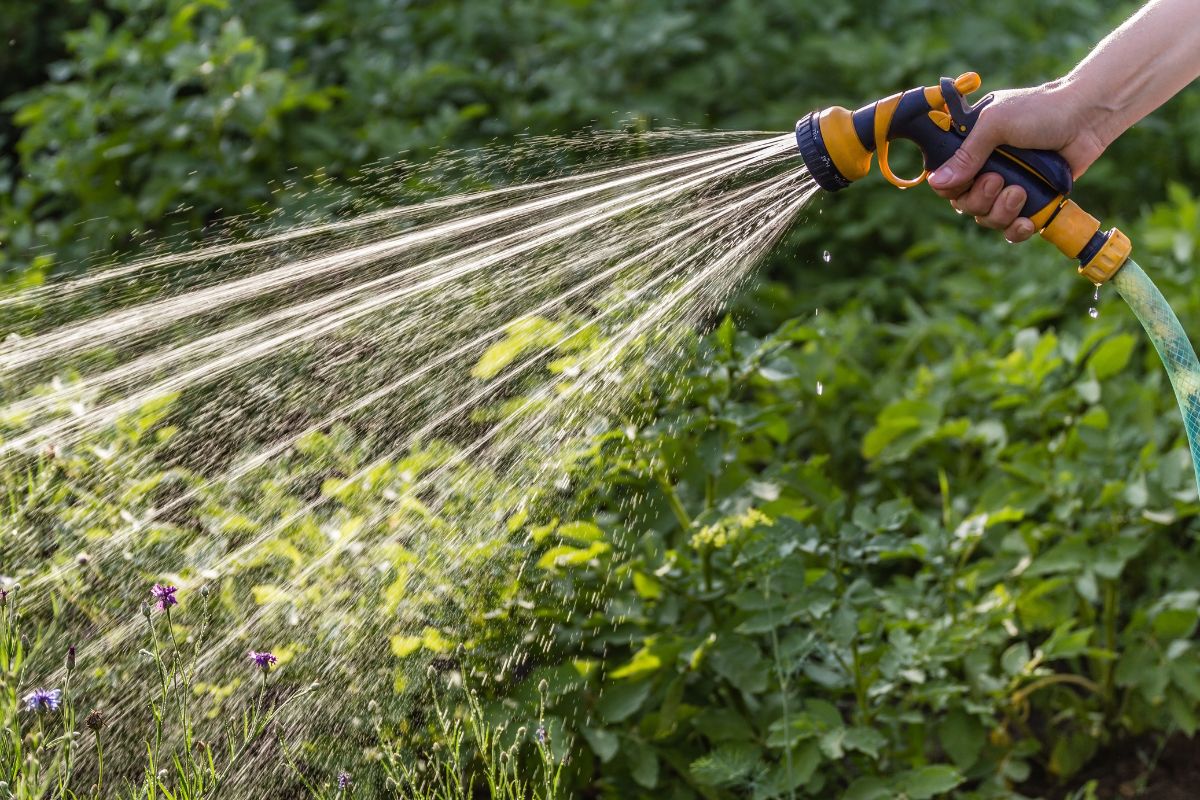 Des économies d'eau pour votre jardin ? Stoppez dès maintenant ses mauvaises pratiques