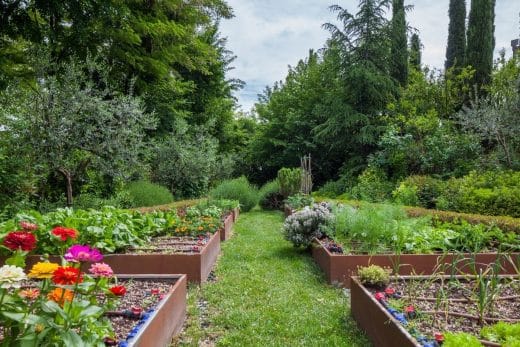 À épingler : Jardin : toutes les techniques pour bien démarrer son potager