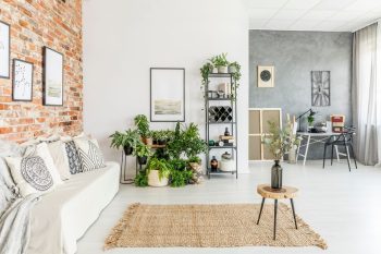 Les dernières tendances pour une décoration exotique dans son salon