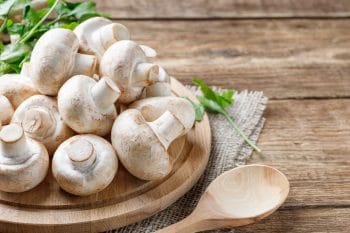 Toutes les astuces pour cultiver correctement des champignons soi-même