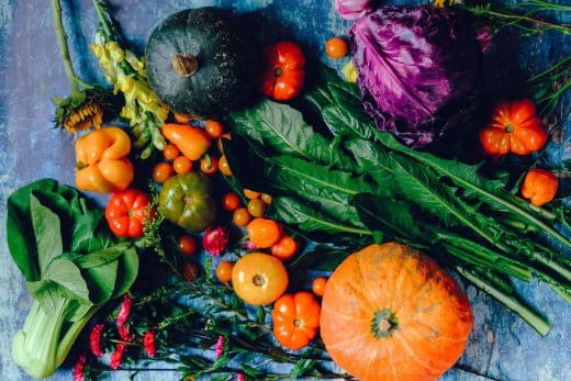 À épingler : 4 idées de légumes à planter durant le mois d’août