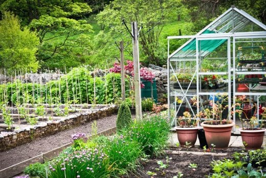 À épingler : Comment assainir le sol de son jardin après le passage du mildiou ?