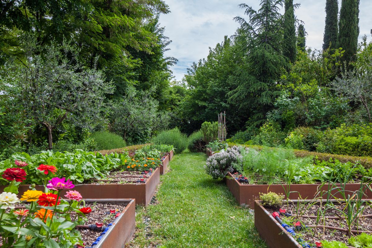 Les 3 solutions efficaces pour apporter de l'ombre à votre potager et protéger vos plantations