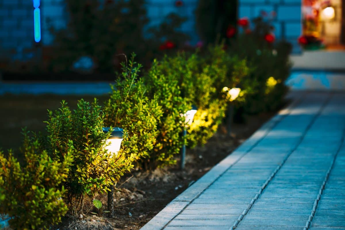 décoration de jardin avec des lumières