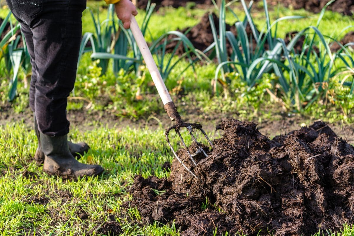 Jardin Quand mettre de l'engrais dans son potager ? Ctendance — free download