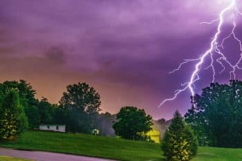 Orage : ces gestes et astuces indispensables pour protéger votre potager efficacement