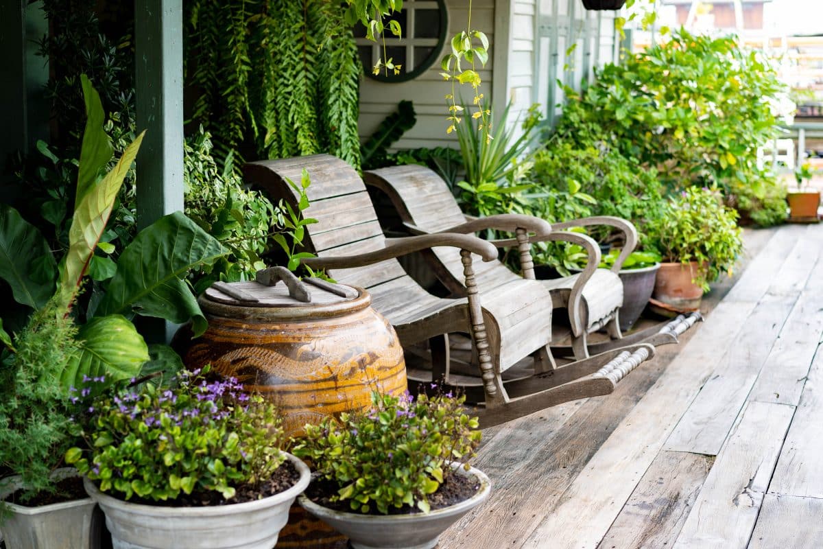 Potager, fleurs et plantes grimpantes