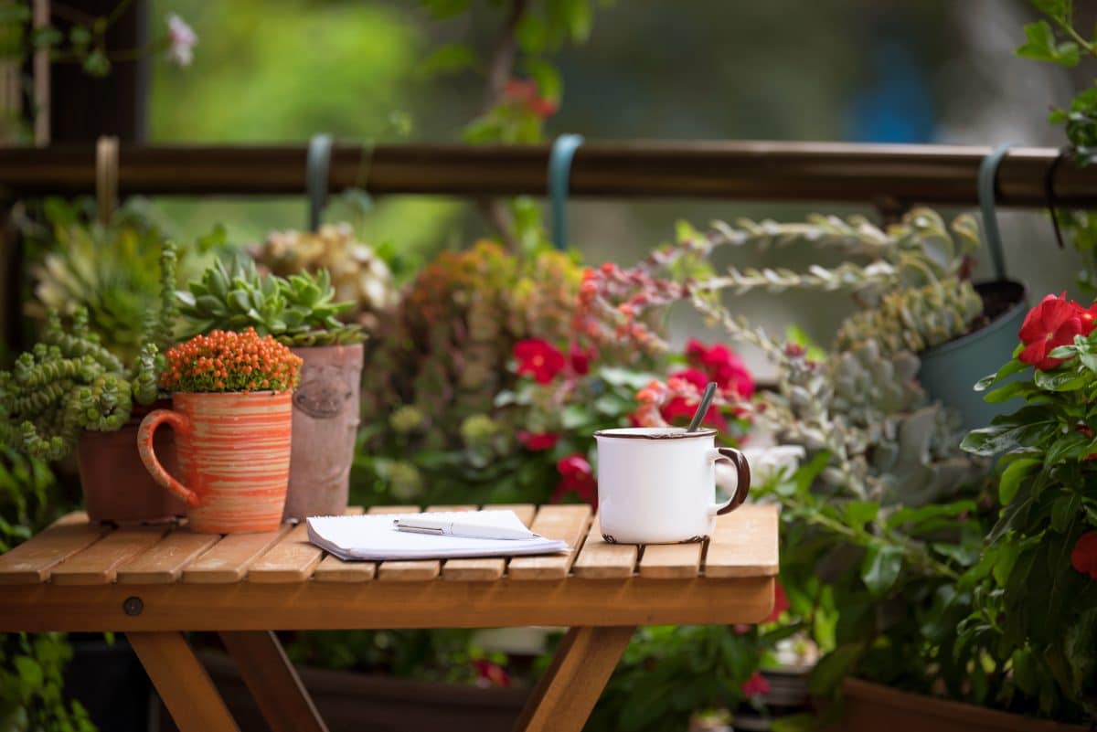 Que planter dans des grands pots sur une terrasse