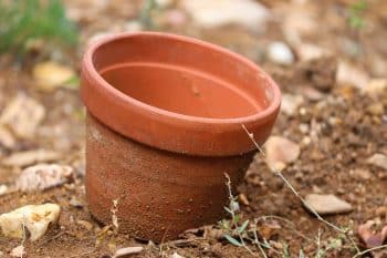 10 idées de déco avec pots en terre cuite