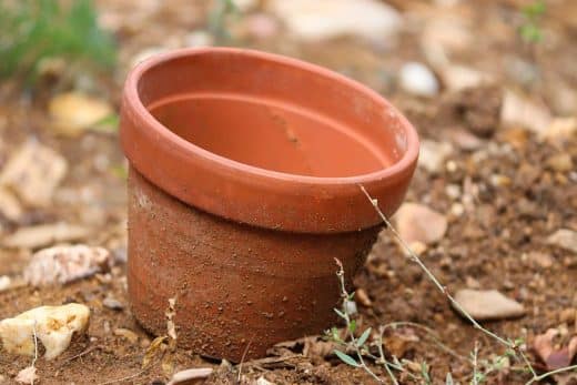 À épingler : 10 idées de déco avec pots en terre cuite !
