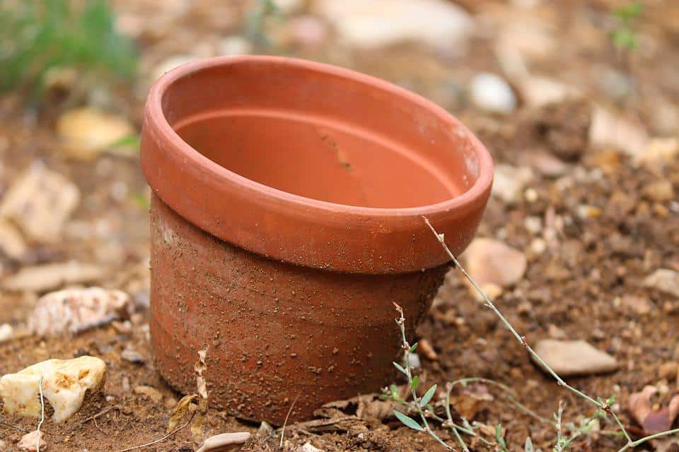 10 idées de déco avec pots en terre cuite