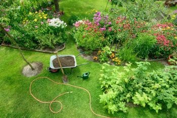 Jardin Cette astuce MIRACLE pour apporter du calcium à vos plantes et avoir de plus belles fleurs tout en recyclant vos déchets