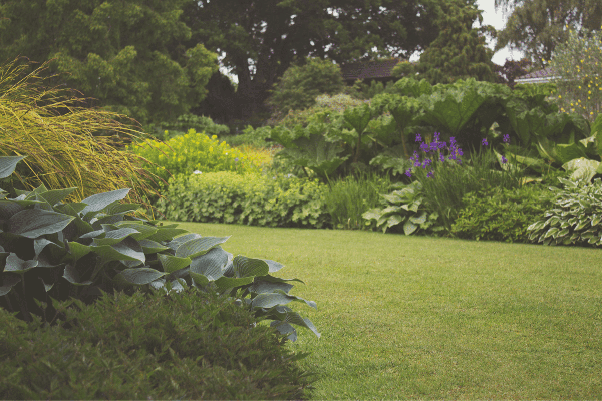 Jardin : Voici les 8 plantes qu'il faut absolument tailler avant que l'été ne soit terminé !