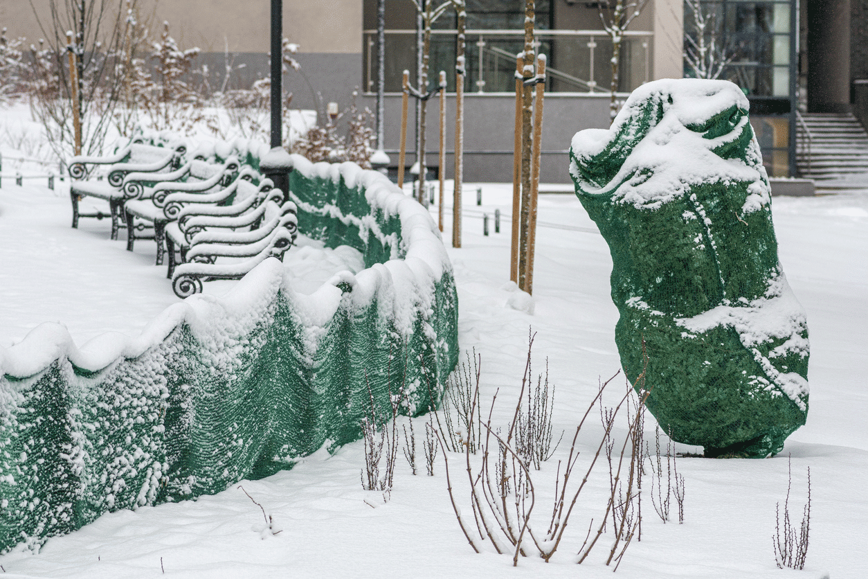 Des plantes sensibles au froid