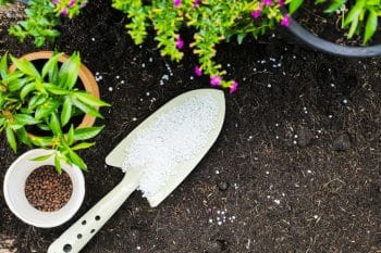 Voici l'alternative MIRACLE pour remplacer les engrais chimiques dans votre jardin ! (voir colonne E)