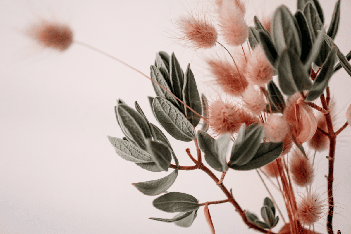 Feuilles et fleurs séchées: 4 idées de décorations automnales à faire chez soi !