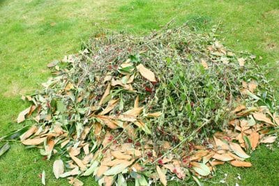 Jardin : quelles feuilles utiliser pour le compost ? Voici comment faire pour les recycler !