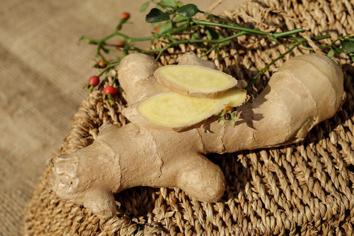 Gingembre Le faire pousser chez soi, c'est possible La réponse est oui, et c'est écologique ! Voici comment faire