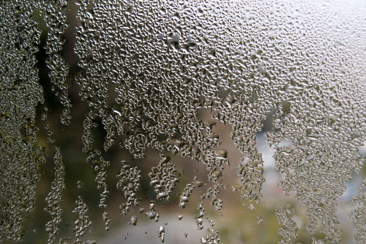 Comment éviter la condensation sur les fenêtres et quelles en sont les causes ? Réponse ici !