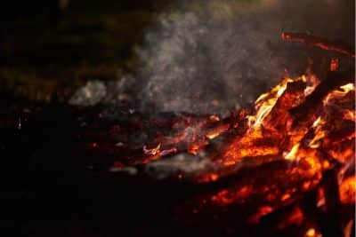 Cendres de bûches et de pellets de bois : que pouvez-vous en faire ?