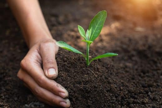 À épingler : Terreau bio : quels sont ses avantages ? On vous dit tout dans cet article !