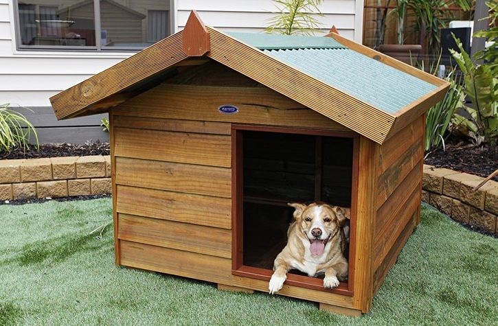 Choisir une matière robuste pour la niche d’un chien