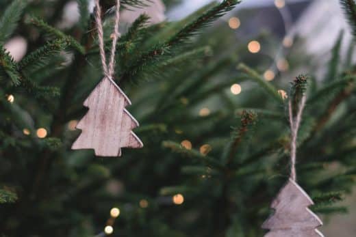 À épingler : Que faire de son sapin après Noël ? Où le jeter ? Comment le recycler ?