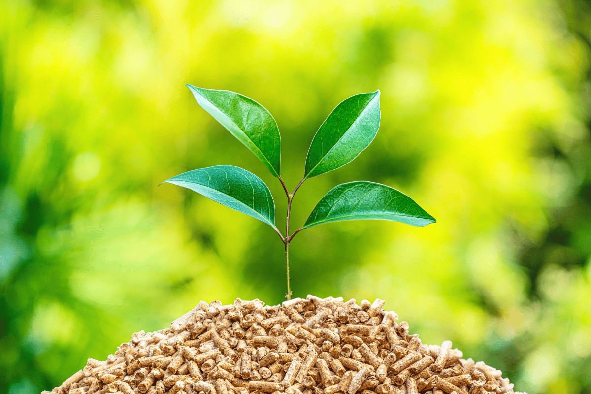 Augmentation des pellets : est-ce vraiment rentable de se chauffer aux granulés ?