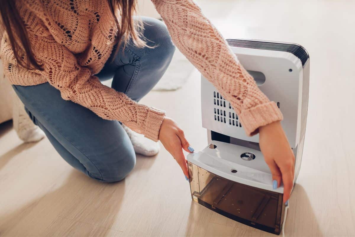 Comment choisir un absorbeur d'humidité ?