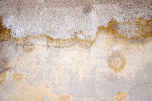 À épingler : Cette astuce de grand-mère va vous sauver de l’humidité !