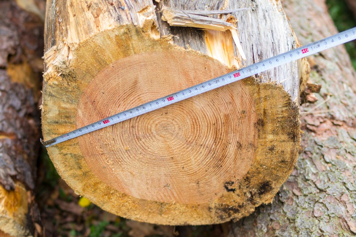 Bois de chauffage : corde, stère ou mètre cube