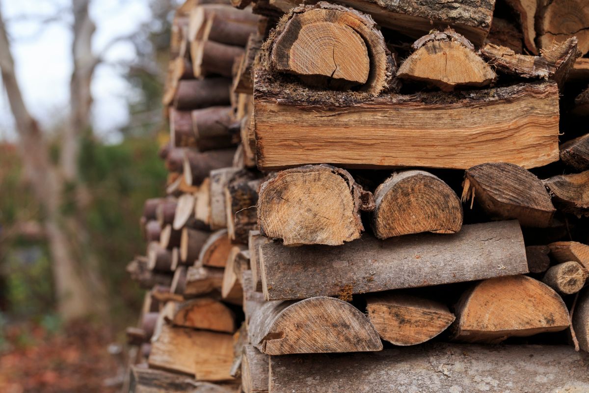 Bois de chauffage humide voici pourquoi il ne faut absolument pas le brûler ! 