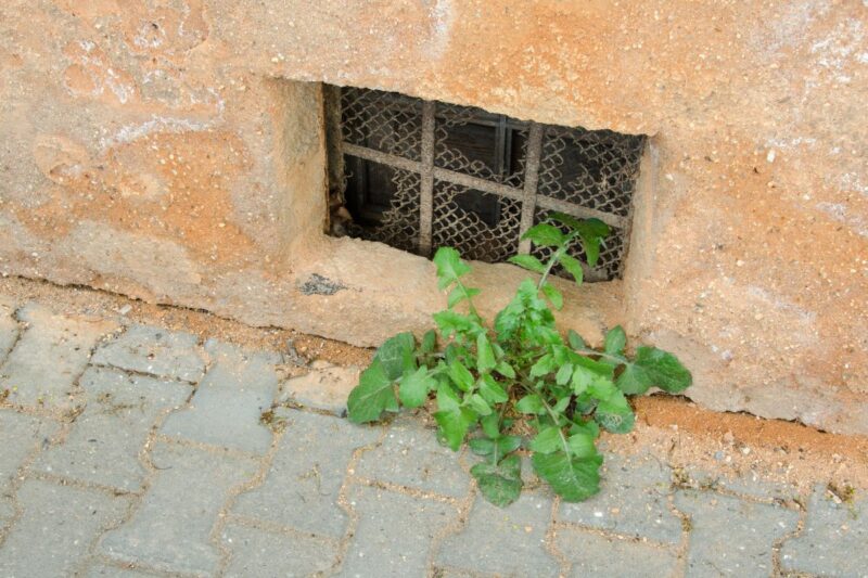 Humidité dans votre cave nos astuces pour vous en débarrasser — free download