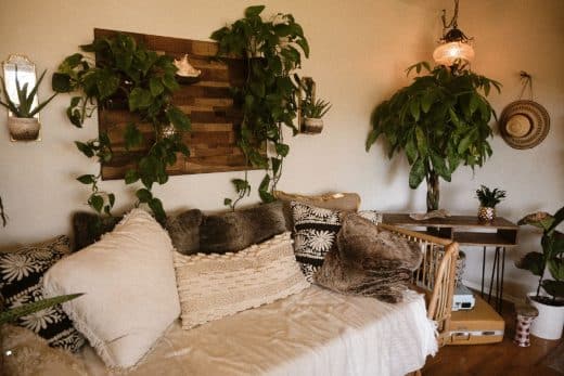 À épingler : Jardin malin : ces plantes d’intérieur qui n’ont pas besoin de beaucoup de lumière !