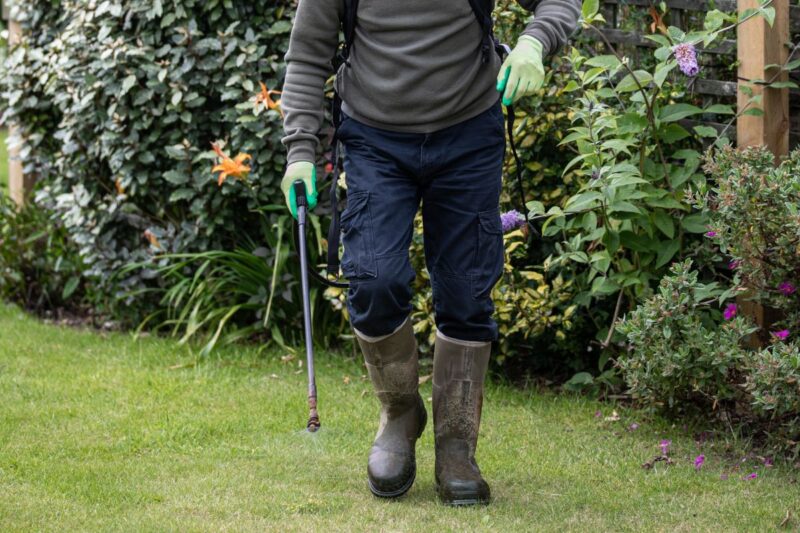 Jardin nos conseils pour faire un vrai désherbant naturel, garanti — free download
