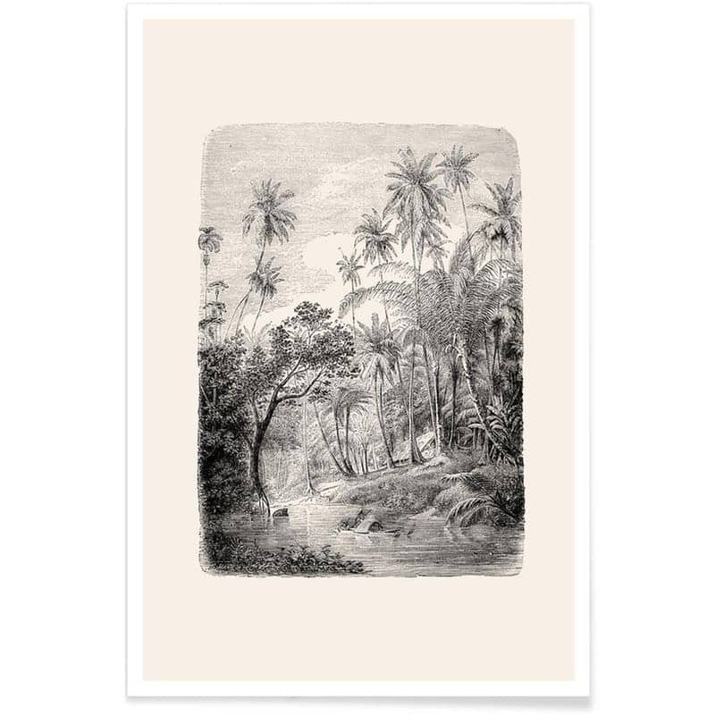 Une gravure Junique inspirée du Sri Lanka pour une touche tropicale pour mur bleu canard